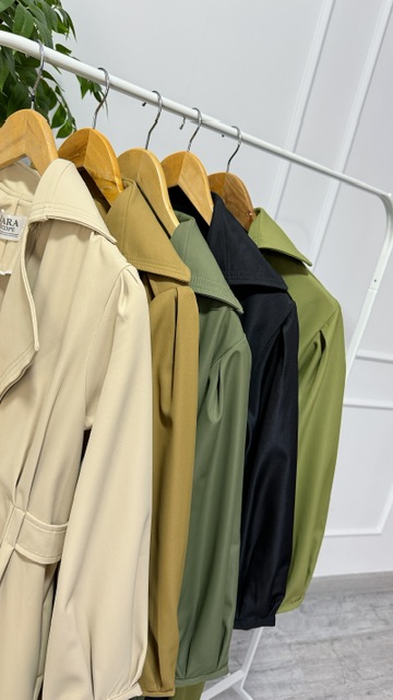 بارونی پشت کش